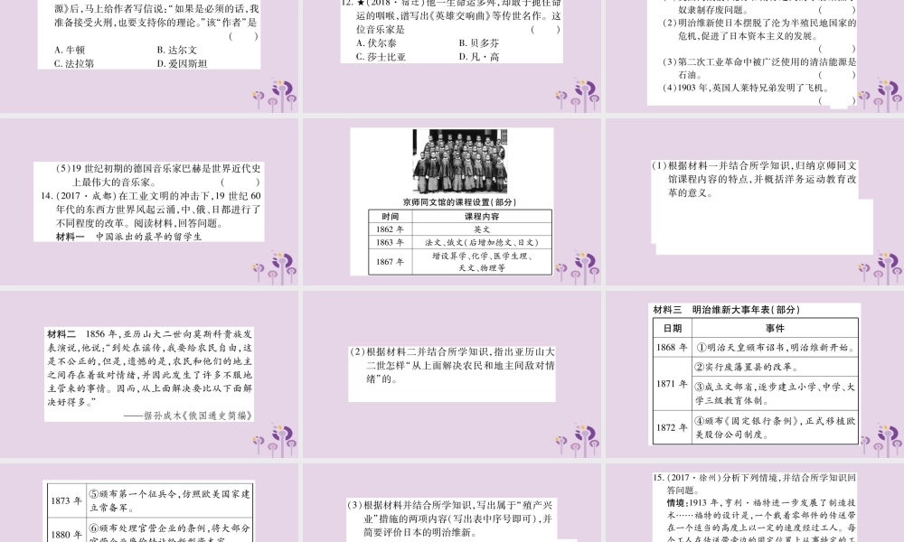 中考历史复习 第一篇 教材系统复习 第4板块 世界历史 第6单元 资本主义制度的扩展和第二次工业革命(习题)课件