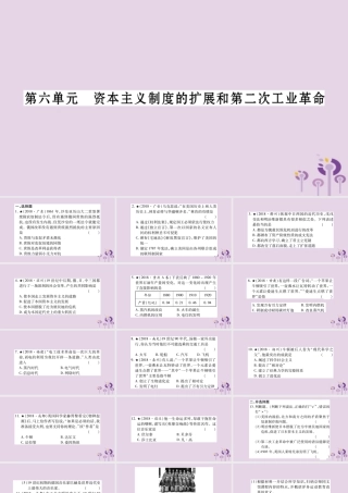 中考历史复习 第一篇 教材系统复习 第4板块 世界历史 第6单元 资本主义制度的扩展和第二次工业革命(习题)课件