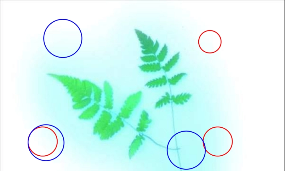 九年级数学(圆与圆的位置关系)课件 人教新课标版 课件