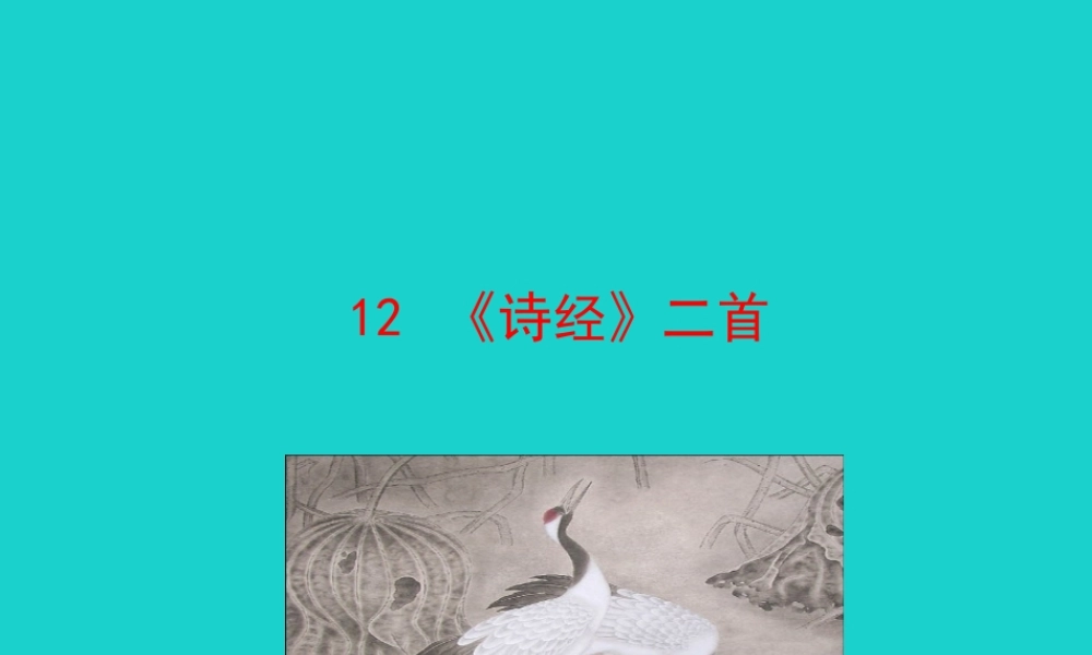八年级语文下册 第三单元 12(诗经)二首课件 八年级语文下册 第三单元 12(诗经)二首课件+素材 新人教版 八年级语文下册 第三单元 12(诗经)二首课件+素材 新人教版-2