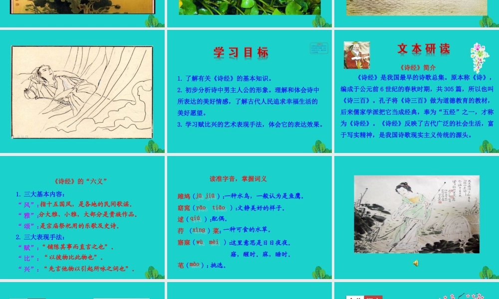 八年级语文下册 第三单元 12(诗经)二首课件 八年级语文下册 第三单元 12(诗经)二首课件+素材 新人教版 八年级语文下册 第三单元 12(诗经)二首课件+素材 新人教版-2