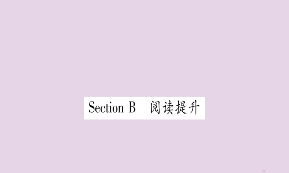 九年级英语全册 Unit 9 I like music that I can dance to Section B作业课件 (新版)人教新目标版 课件