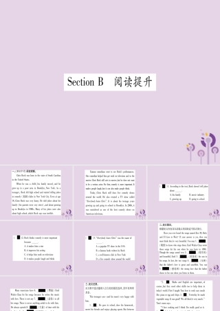 九年级英语全册 Unit 9 I like music that I can dance to Section B作业课件 (新版)人教新目标版 课件