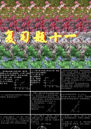 复习题十一 初三数学复习题课件[整理十四套]人教版