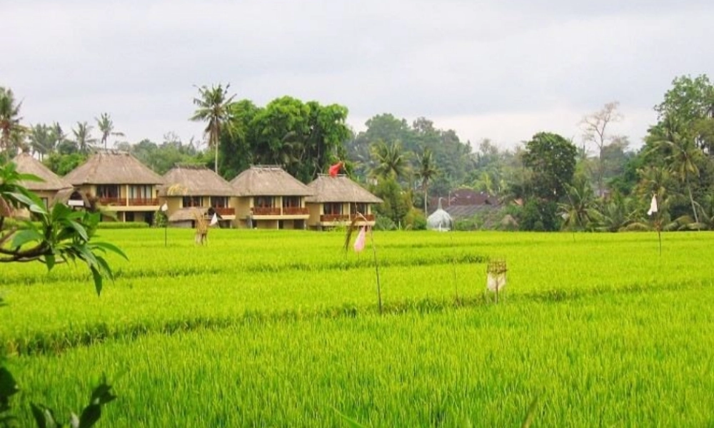 八年级数学上册 字母能表示什么字母能表示什么课件 北师大版 课件