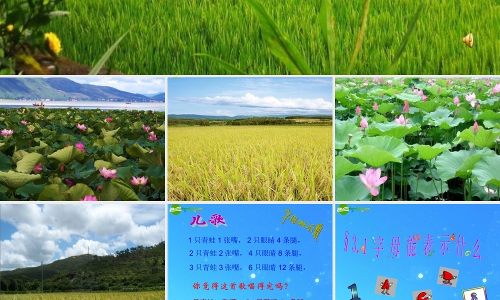 八年级数学上册 字母能表示什么字母能表示什么课件 北师大版 课件