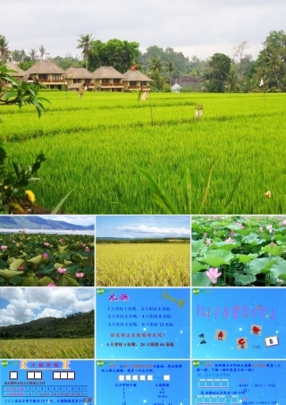 八年级数学上册 字母能表示什么字母能表示什么课件 北师大版 课件