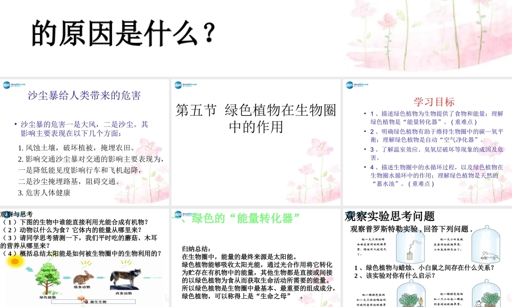 中学七年级生物上册 2.1.5 绿色植物在生物圈中的作用课件 (新版)济南版 课件