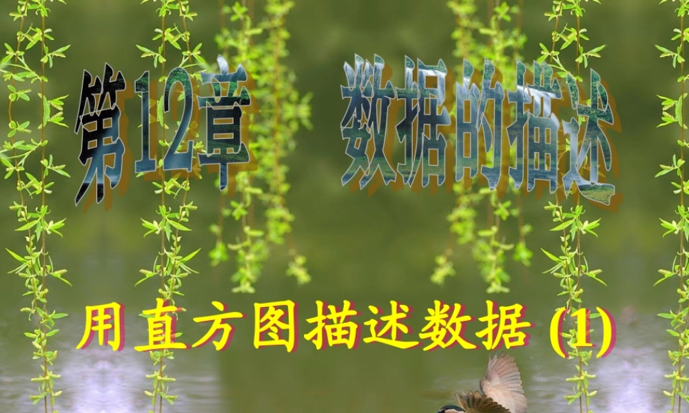 八年级数学上册 用直方图描述数据(1) ppt 课件