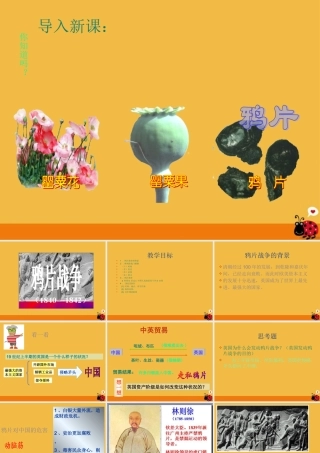 八年级历史上册 第一次鸦片战争课件 中华书局版 课件