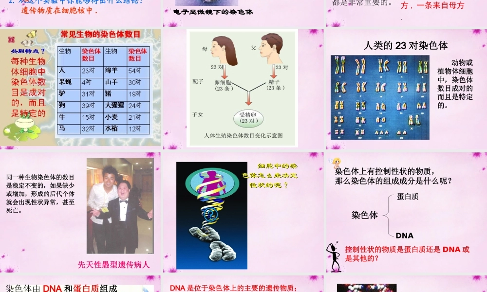八年级生物上册 第二十章 第二节 性状遗传的物质基础课件 北师大版 课件