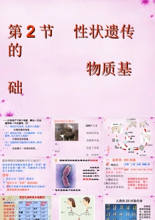 八年级生物上册 第二十章 第二节 性状遗传的物质基础课件 北师大版 课件