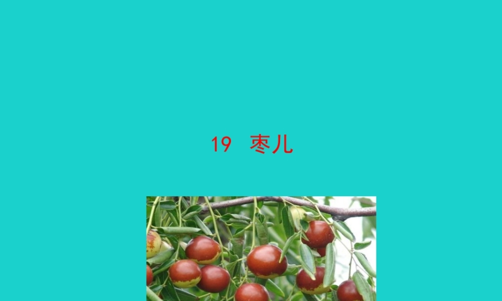 九年级语文下册 第五单元 19 枣儿课件 新人教版 课件