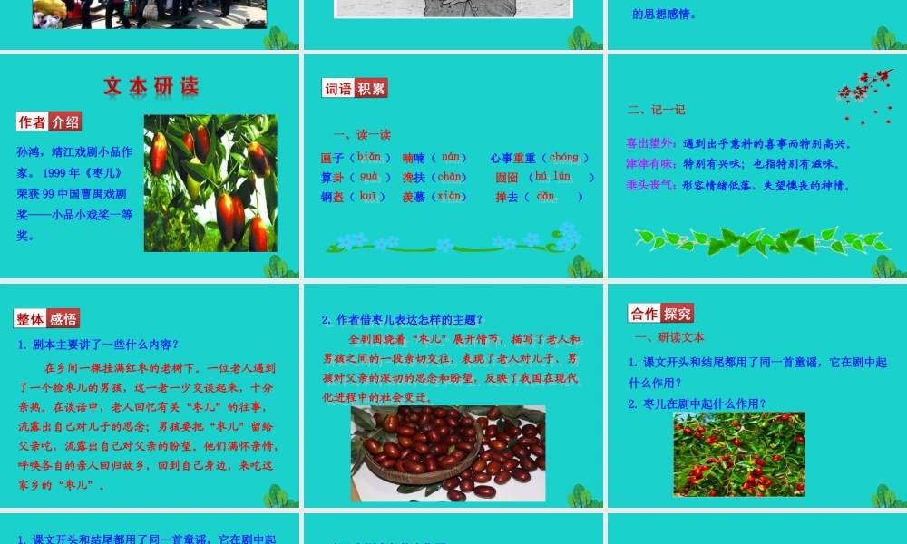 九年级语文下册 第五单元 19 枣儿课件 新人教版 课件