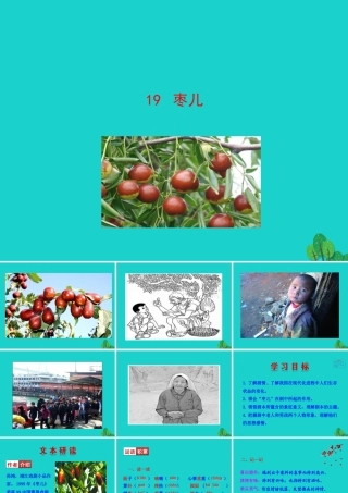 九年级语文下册 第五单元 19 枣儿课件 新人教版 课件