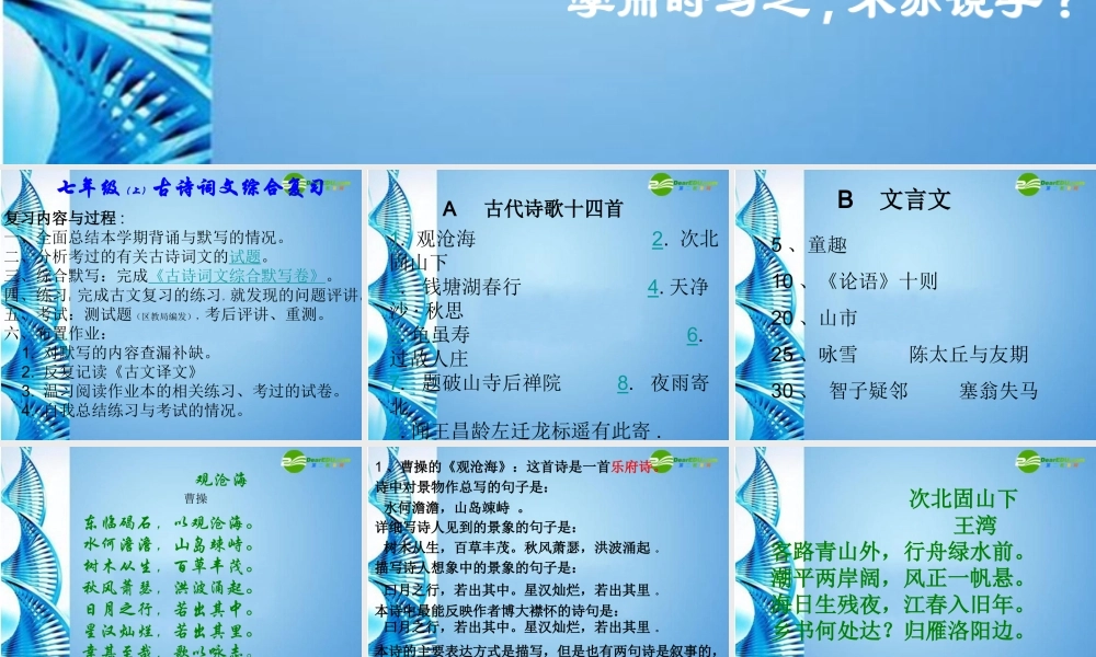 七年级语文上册 分析考过的有关古诗词文的文言文复习课件 人教新课标版 课件