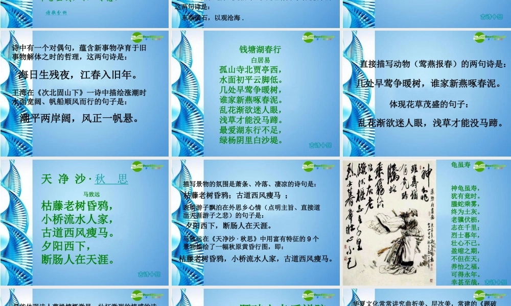 七年级语文上册 分析考过的有关古诗词文的文言文复习课件 人教新课标版 课件