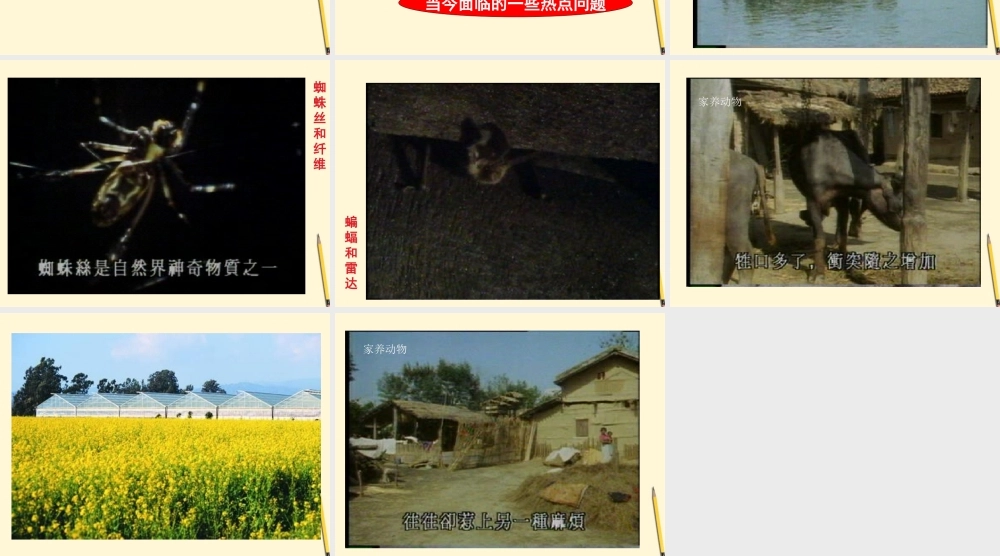 七年级生物上册(我们身边的生物学)课件 苏教版 课件