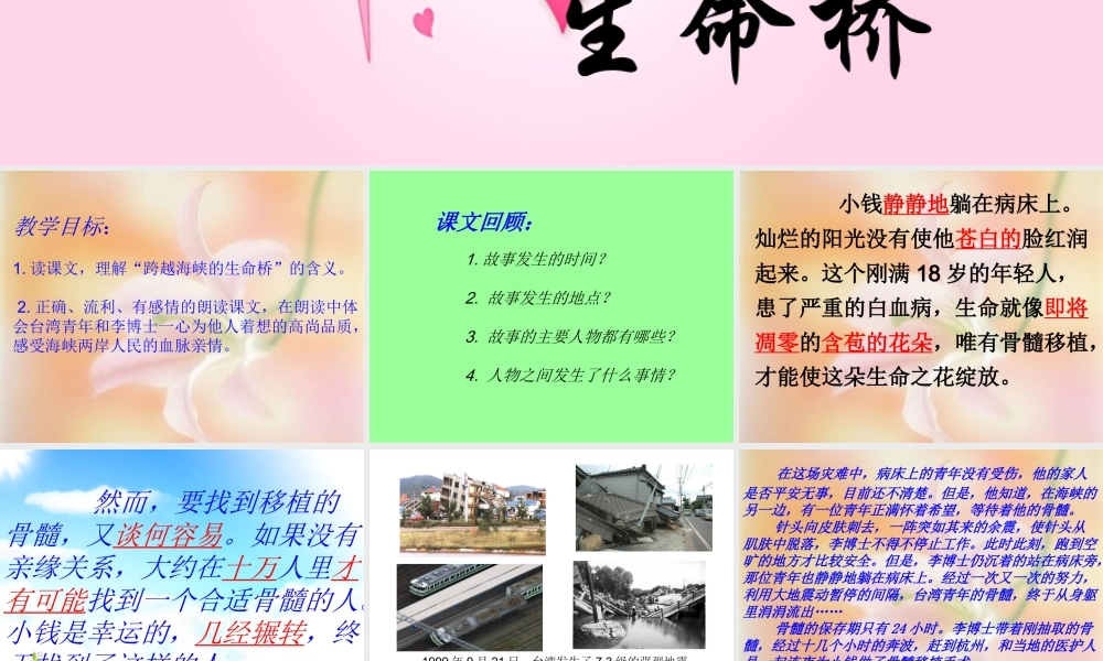 (人教新课标)四年级语文上册课件_跨越海峡的生命桥_8