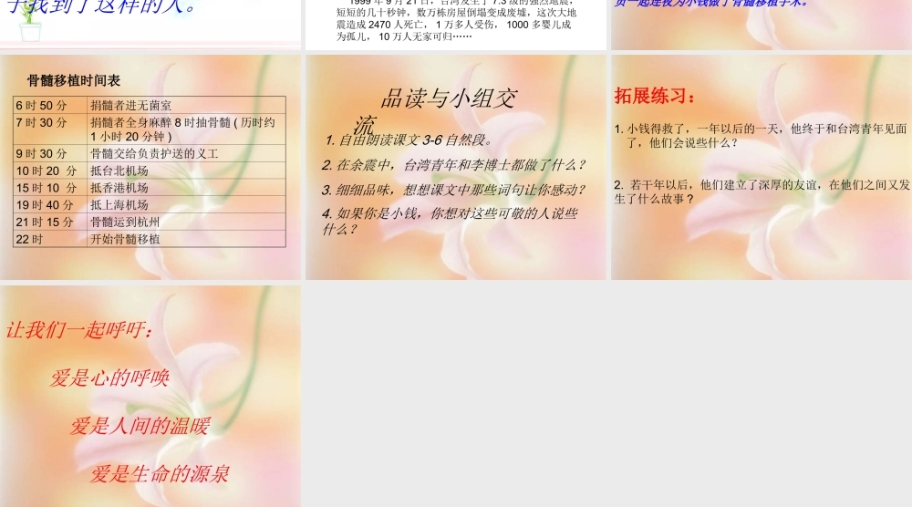 (人教新课标)四年级语文上册课件_跨越海峡的生命桥_8