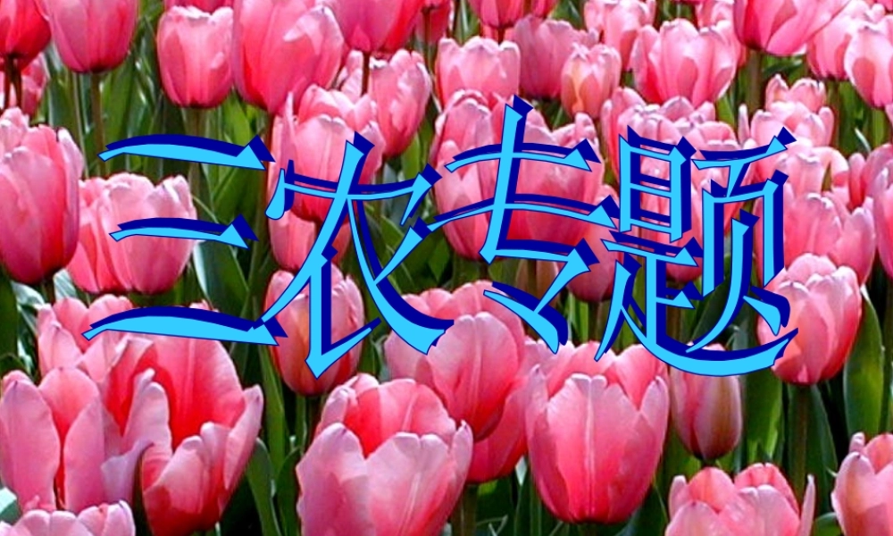 九年级历史中考专题复习：世界史上的三农问题课件