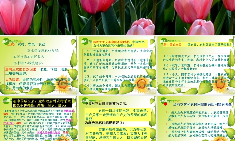 九年级历史中考专题复习：世界史上的三农问题课件