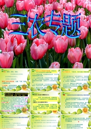 九年级历史中考专题复习：世界史上的三农问题课件