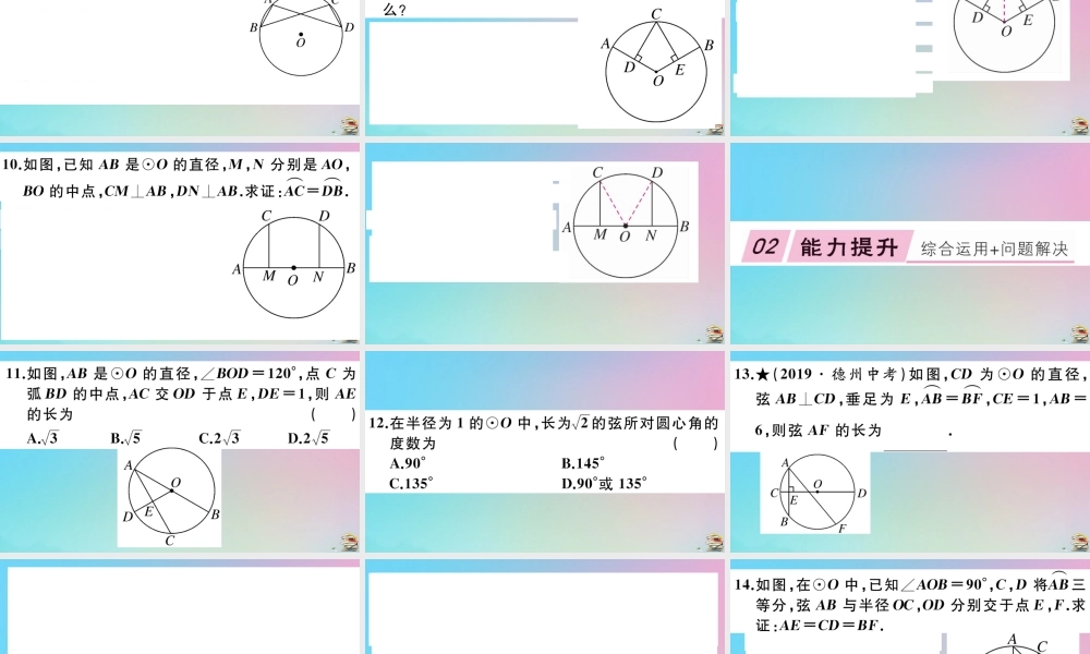 九年级数学上册 第24章(圆)241 圆的有关性质 2413 弧、弦、圆周角作业课件 (新版)新人教版 课件