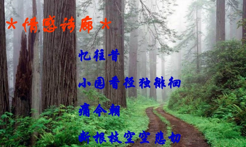 八年级语文幽径悲剧课件1苏教版 课件