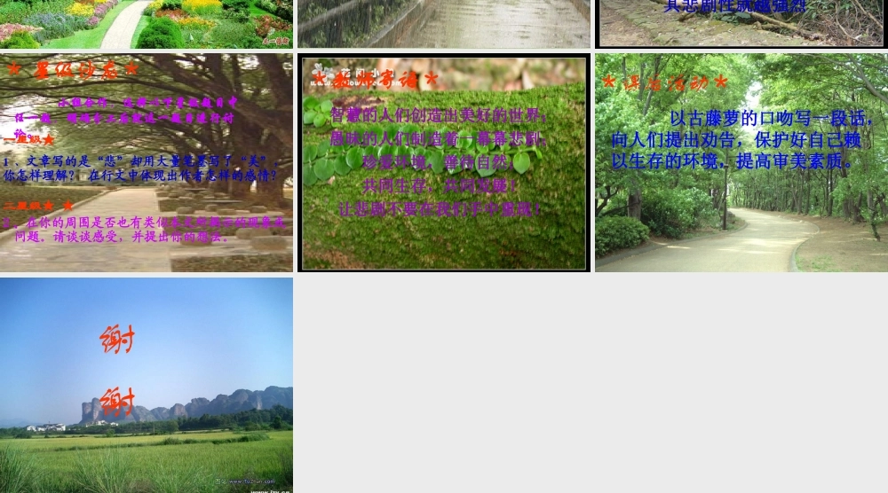 八年级语文幽径悲剧课件1苏教版 课件