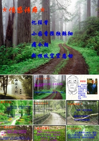 八年级语文幽径悲剧课件1苏教版 课件