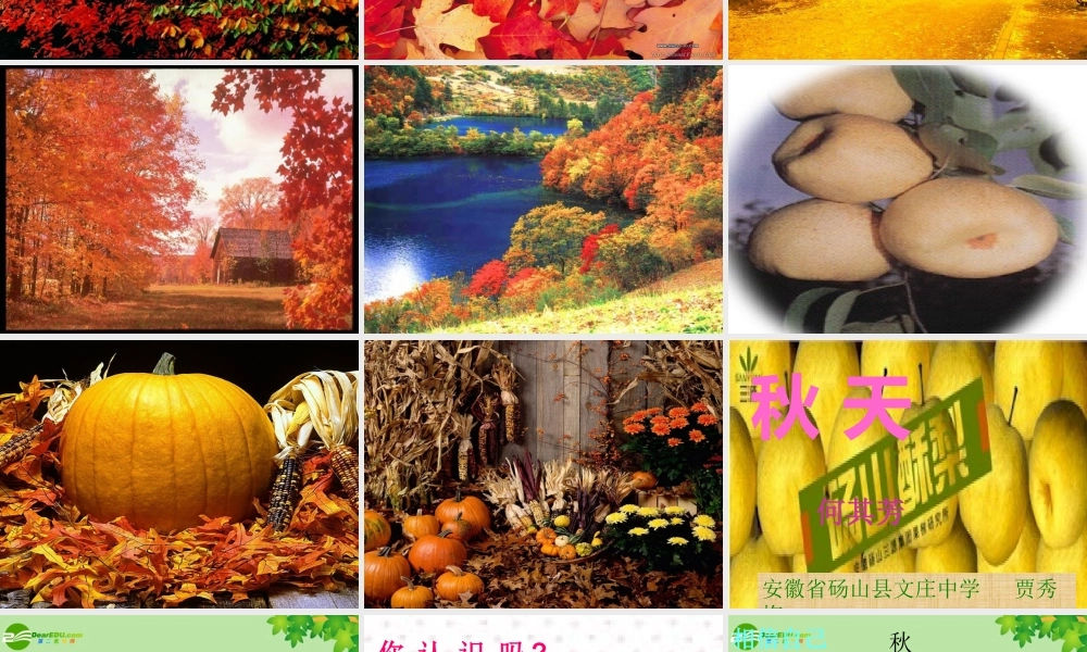 七年级语文上册 (秋天)教学课件 人教新课标版 课件