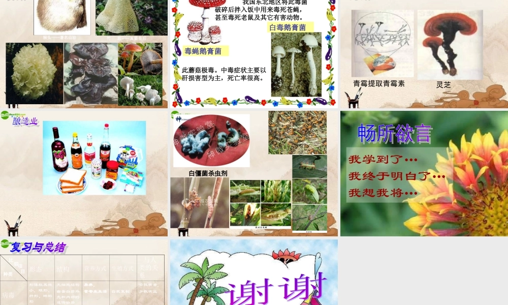 七年级生物上册 第三节真菌课件 济南版 课件