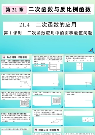 九年级数学上册 第21章 二次函数与反比例函数 214 二次函数的应用 第1课时 二次函数应用中的面积最值问题作业课件 (新版)沪科版 课件