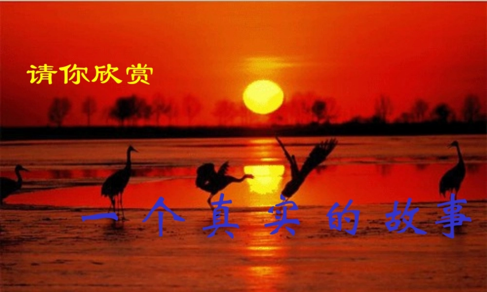 八年级语文都市精灵课件1苏教版 课件