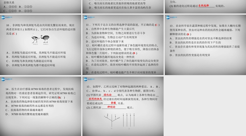 九年级科学下册 142 进化论的演变习题课件 浙教版 课件