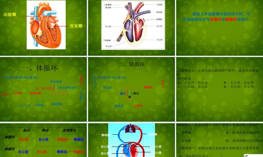 中学七年级生物下册 第四单元 第四章 人体内物质的运输课件 新人教版 课件
