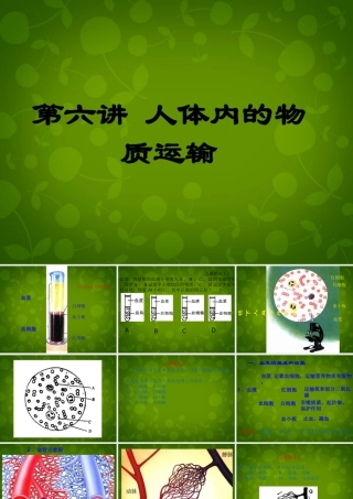 中学七年级生物下册 第四单元 第四章 人体内物质的运输课件 新人教版 课件