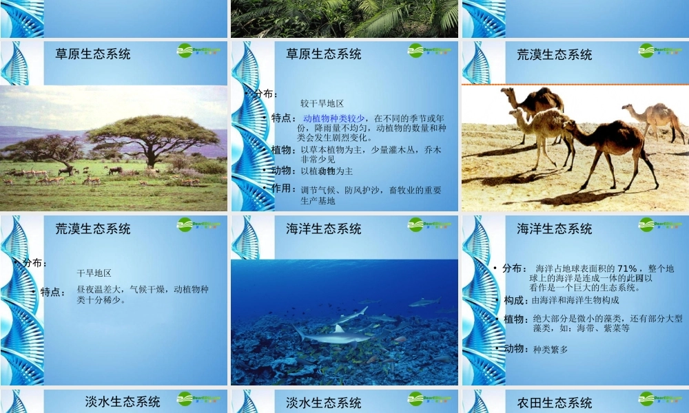 八年级生物下册 第六单元第一章第四节生态系统的类型教案 济南版 课件