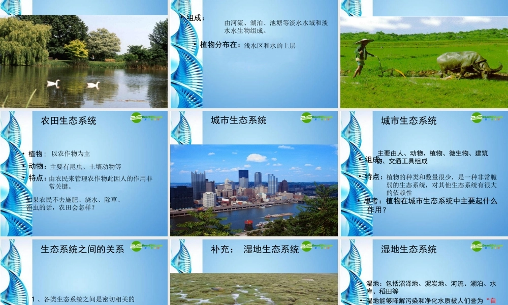 八年级生物下册 第六单元第一章第四节生态系统的类型教案 济南版 课件