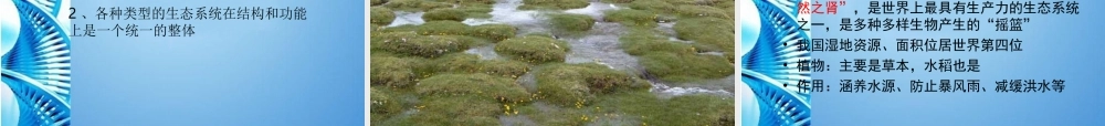 八年级生物下册 第六单元第一章第四节生态系统的类型教案 济南版 课件
