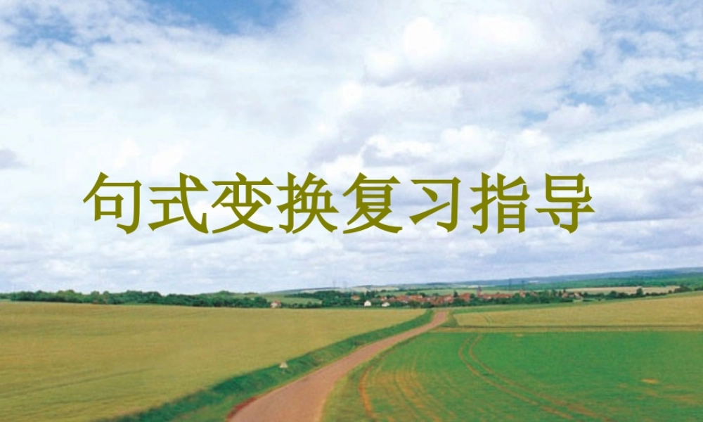 人教版 句式变换复习指导 试题