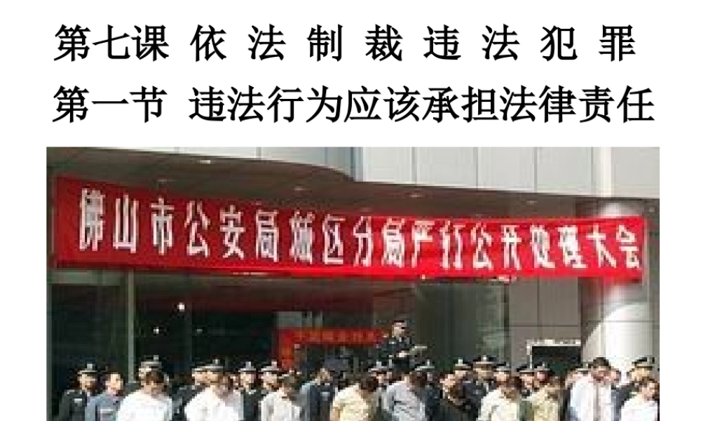 八年级政治 违法行为应该承担法律责任课件