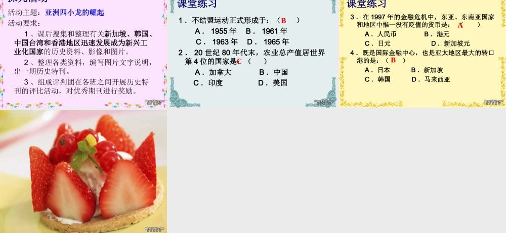 九年级历史第三世界的兴起和亚洲经济的发展课件示例 课件
