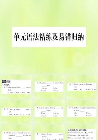 七年级英语上册 Unit 2 Colours and Clothes语法精练及易错归纳课件 (新版)冀教版 课件