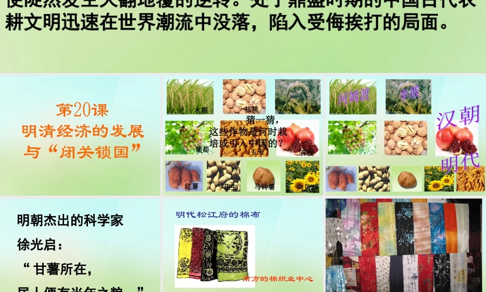 中学七年级历史下册 3.清经济的发展与 闭关锁国 课件 新人教版 课件