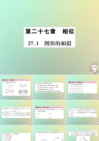 九年级数学下册 第二十七章 相似 271 图形的相似习题课件 (新版)新人教版 课件