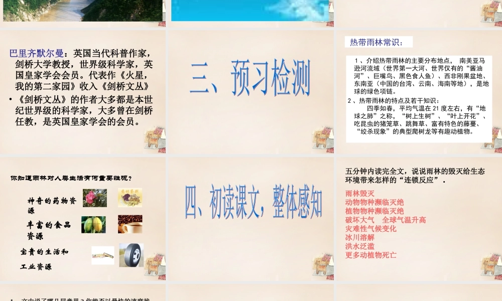 八年级语文上册 18(雨林的毁灭 世界性灾难)课件1 语文版 课件