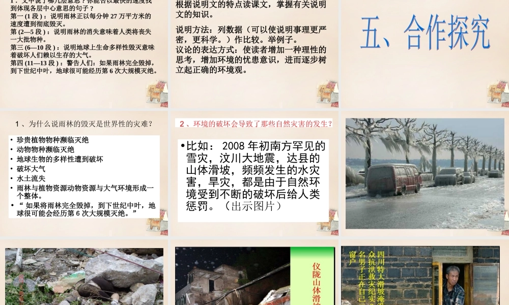 八年级语文上册 18(雨林的毁灭 世界性灾难)课件1 语文版 课件