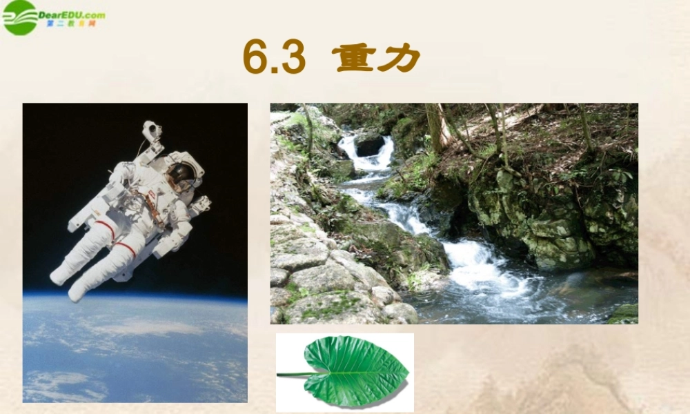 八年级物理下册 重力课件 沪粤版 课件
